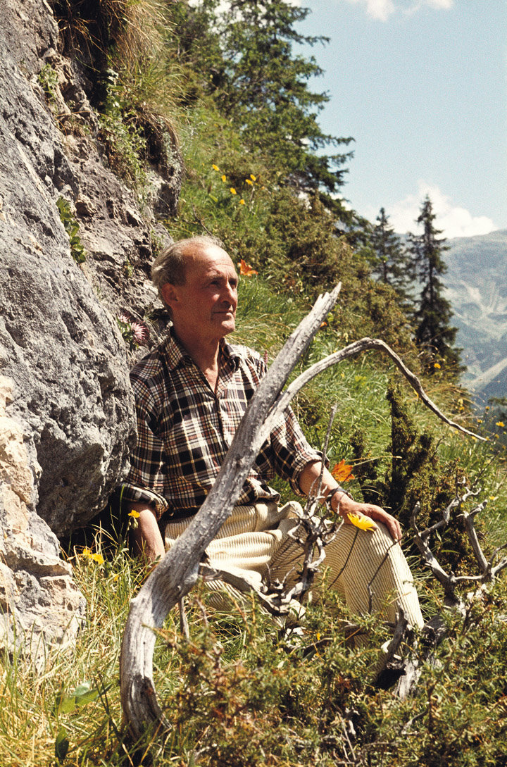 Bera Heinrich Moroder de Doss (1896-1974) à giapà su ti primes ani dl 1950 tla Arenaries de Gherdëina de Cuecenes i restc ciarbunisei de n lën da odla che lessù à giapà l’inuem “Ortiseia leonardii” (Permian, 290-260 mio. d’ani)