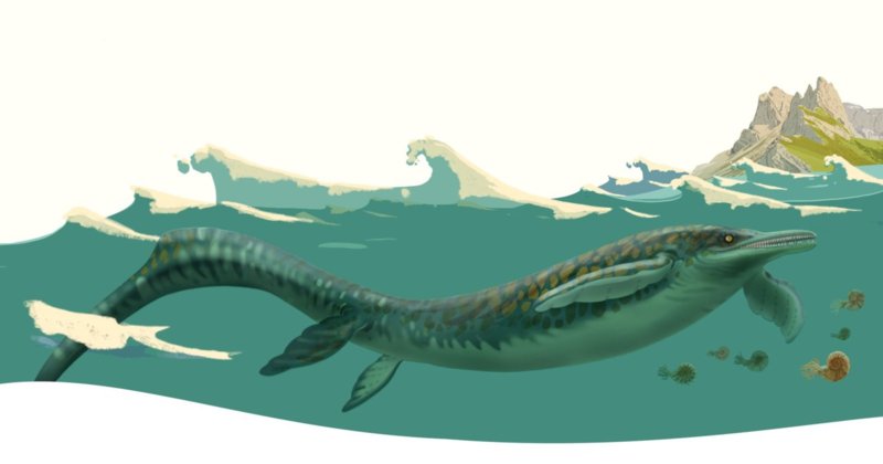 Dessëni dancà, Sara Welponer